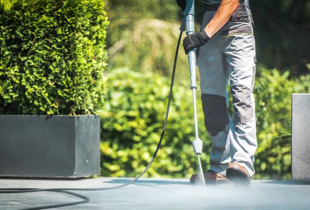 Best Patio and Deck Pressure Washing  in Frostproof, FL