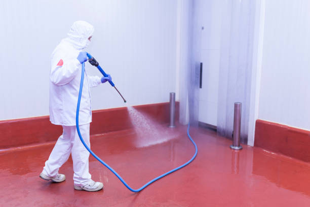 Best Fleet Vehicle Washing  in Frostproof, FL