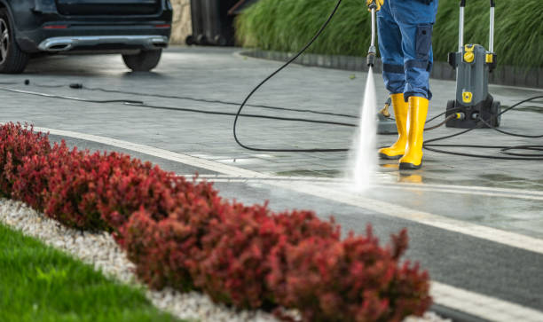 Best Pool Deck Cleaning  in Frostproof, FL